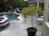 Pool Deck