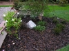 Stone Walls and Benches         
